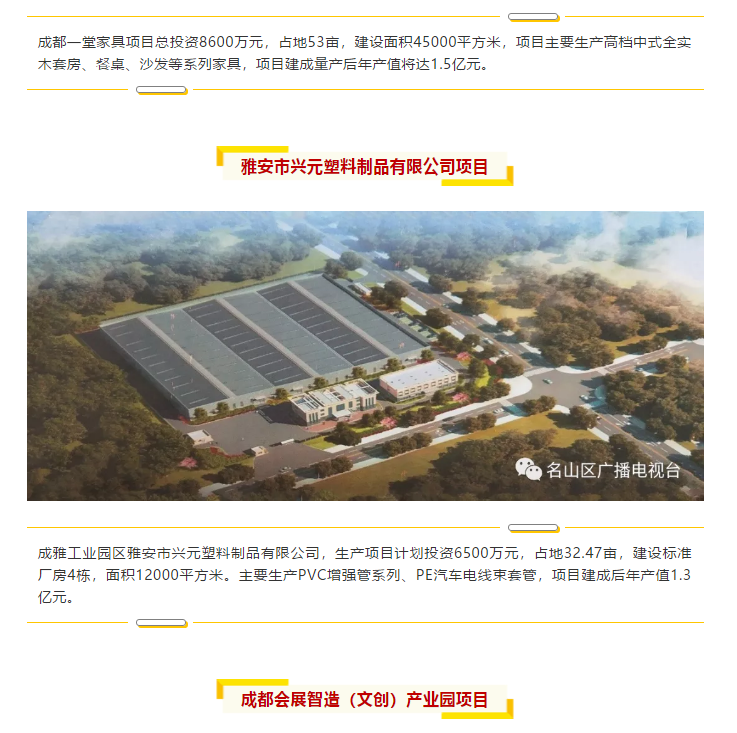 總投資157.1億元！四川省2019年第一季度重大項目集中開工儀式雅安分會場在成雅工業(yè)園區(qū)舉行(圖6)